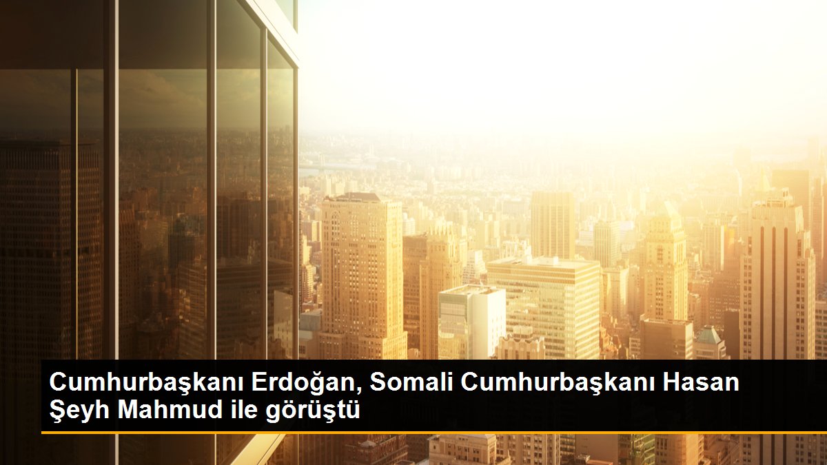 Cumhurbaşkanı Erdoğan, Somali Cumhurbaşkanı Hasan Pir Mahmud ile görüştü