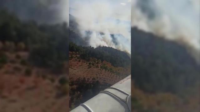 İzmir Bergama’da Orman Yangını Çıktı