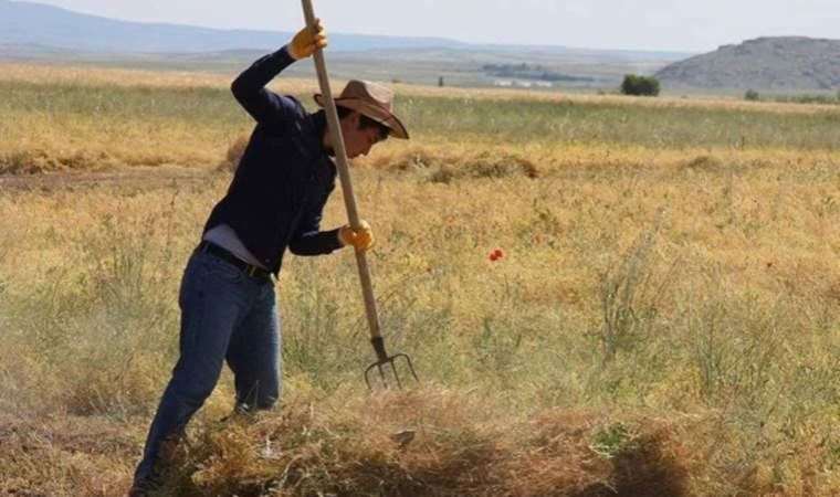 Gıdada ucuzluk hayal: Tarımda 2023 yılı mazot ve gübre destekleri çiftçide umutsuzluğa neden oldu