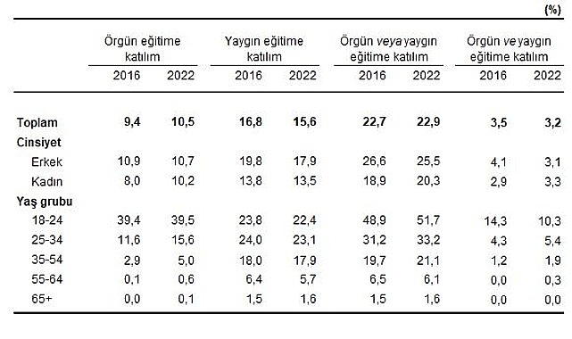 Yetişkinlerin örgün veya yaygın eğitime katılım oranı yüzde 22,9 oldu